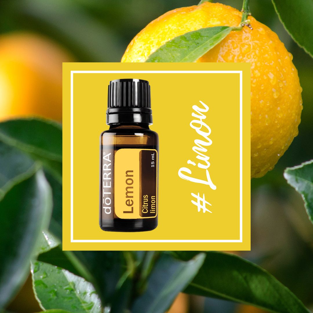 lemon photo food instagram post
